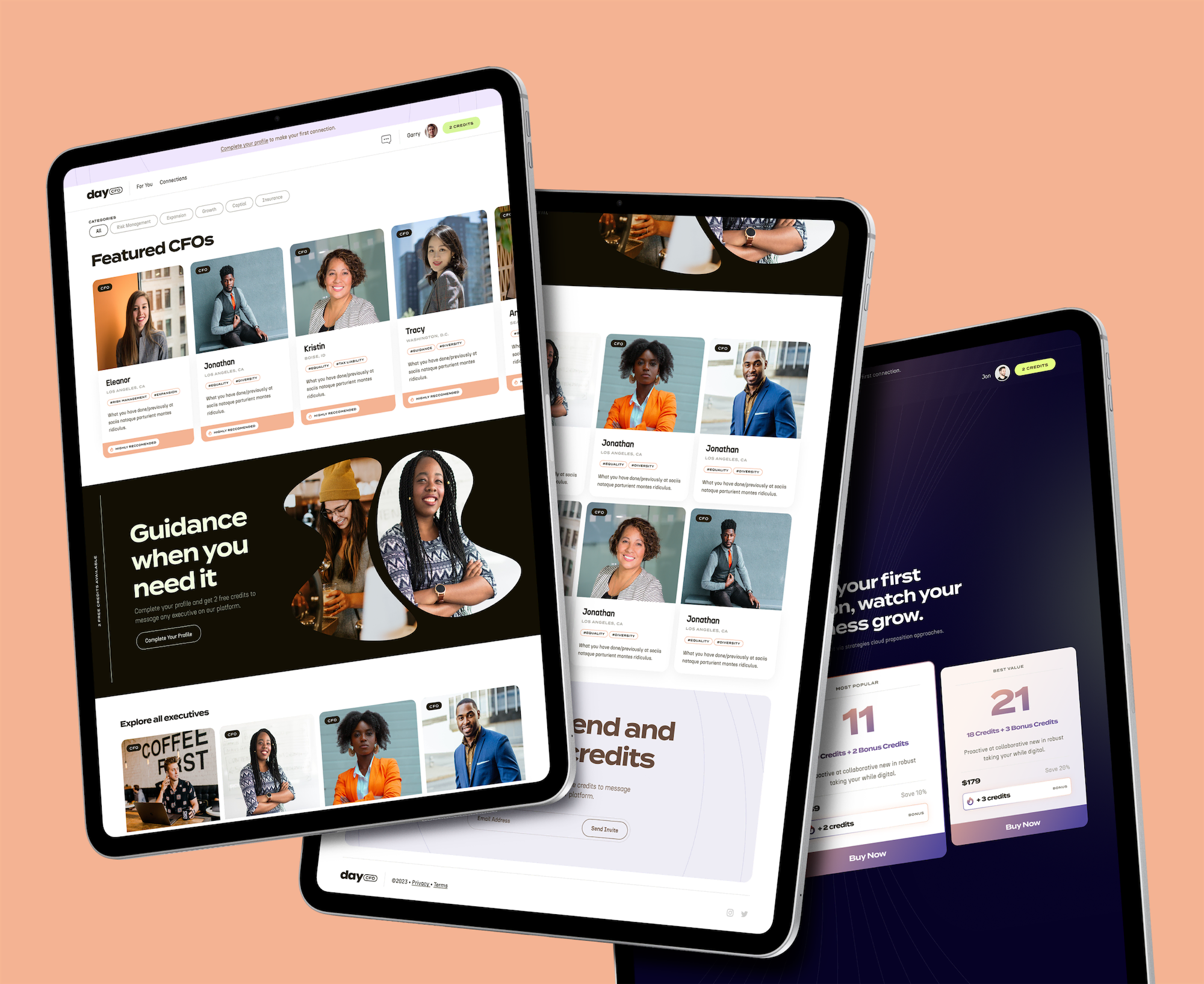 DayCFO tablet interface 2
