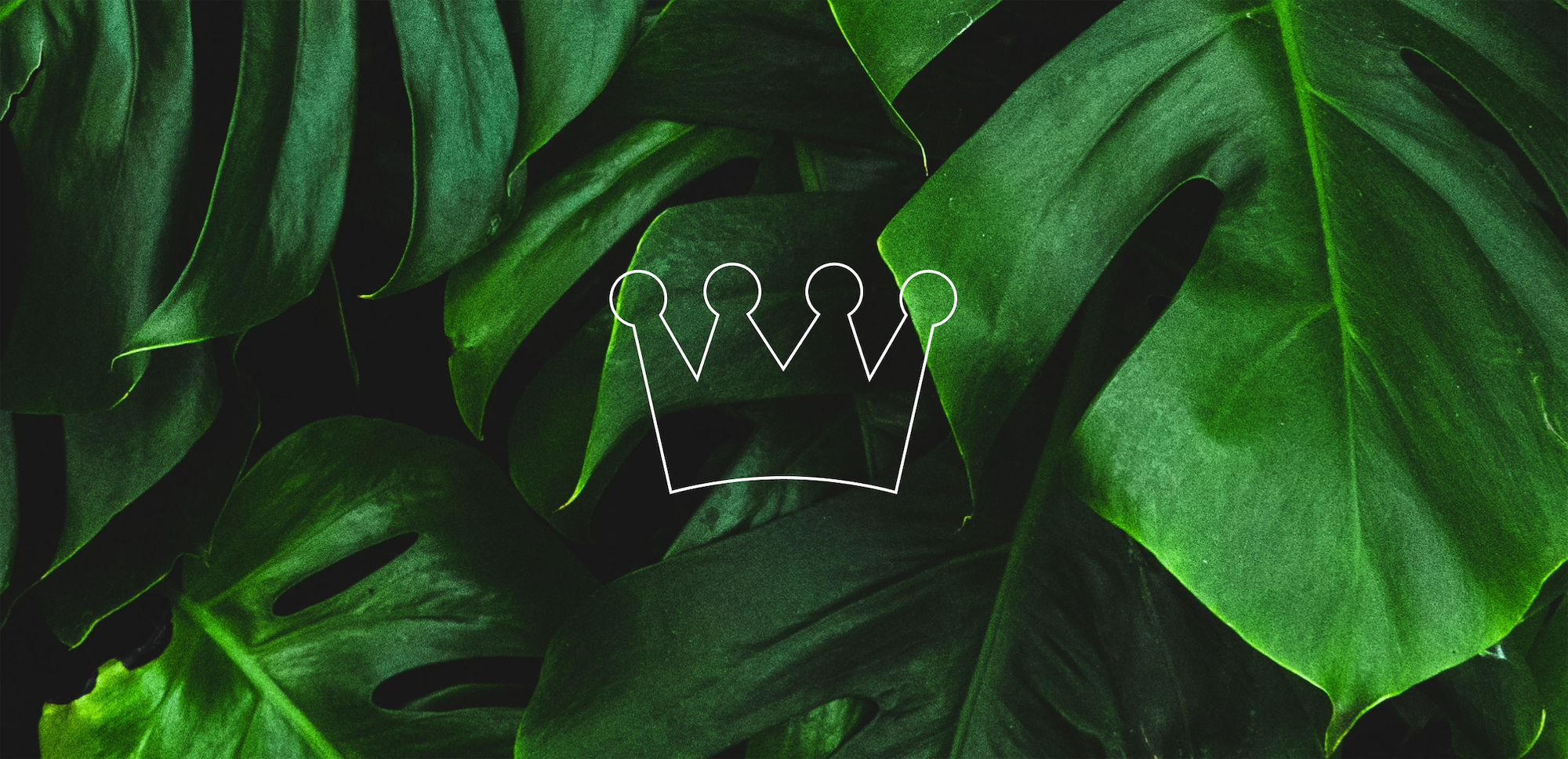 Hotel Royal brand identity